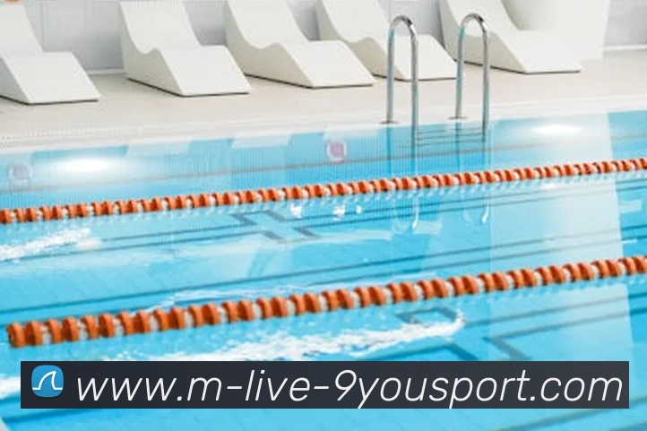 App Interface Preview